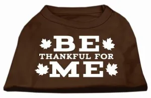 Be Thankful for Me Screen Print Shirt Brown Lg (14)