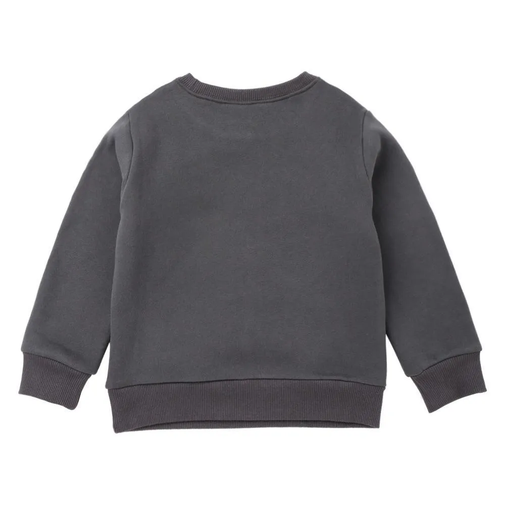 Boys Solid Letter Printed Long Sleeve Tees Wholesale