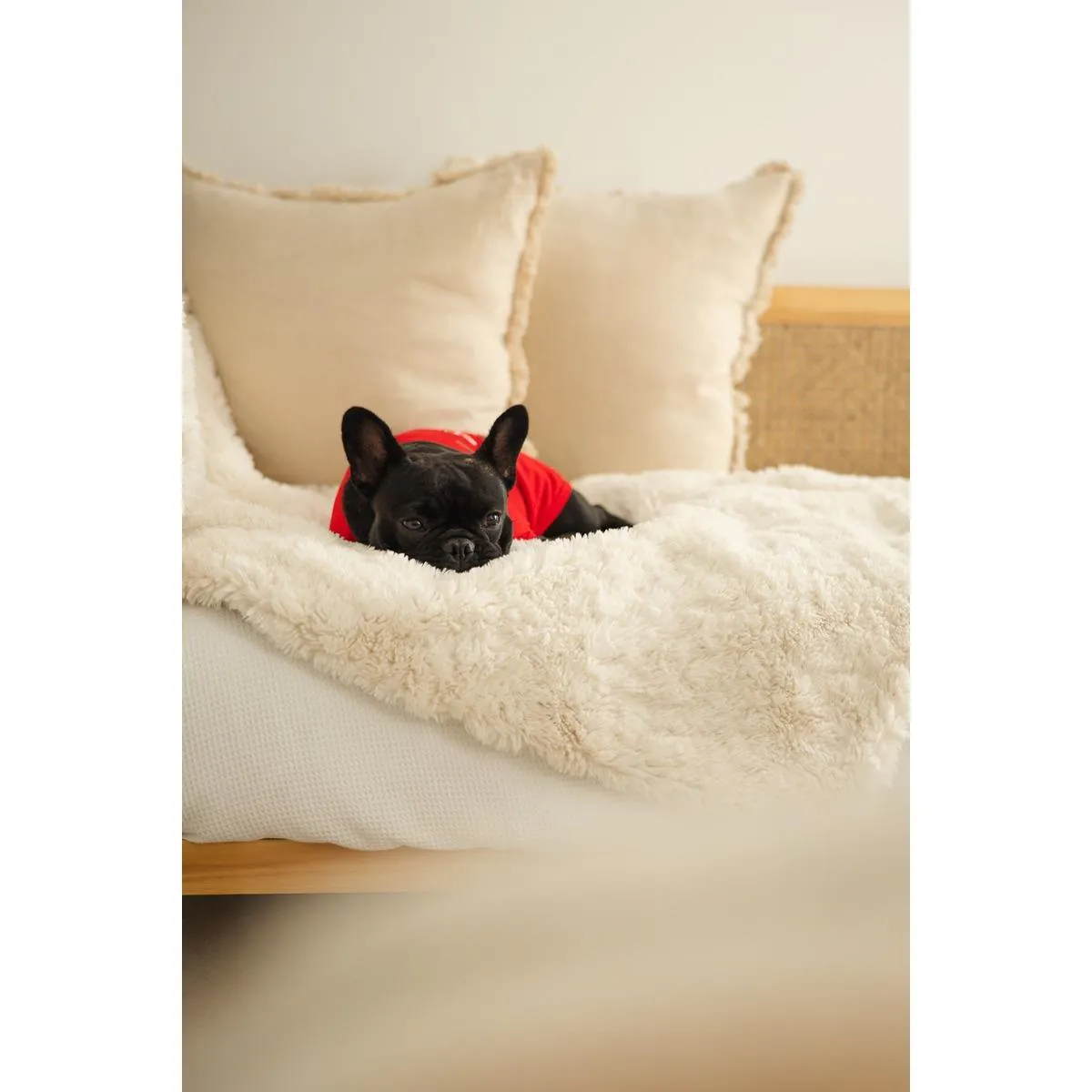DGG Dog T-Shirt Snuggle Bug