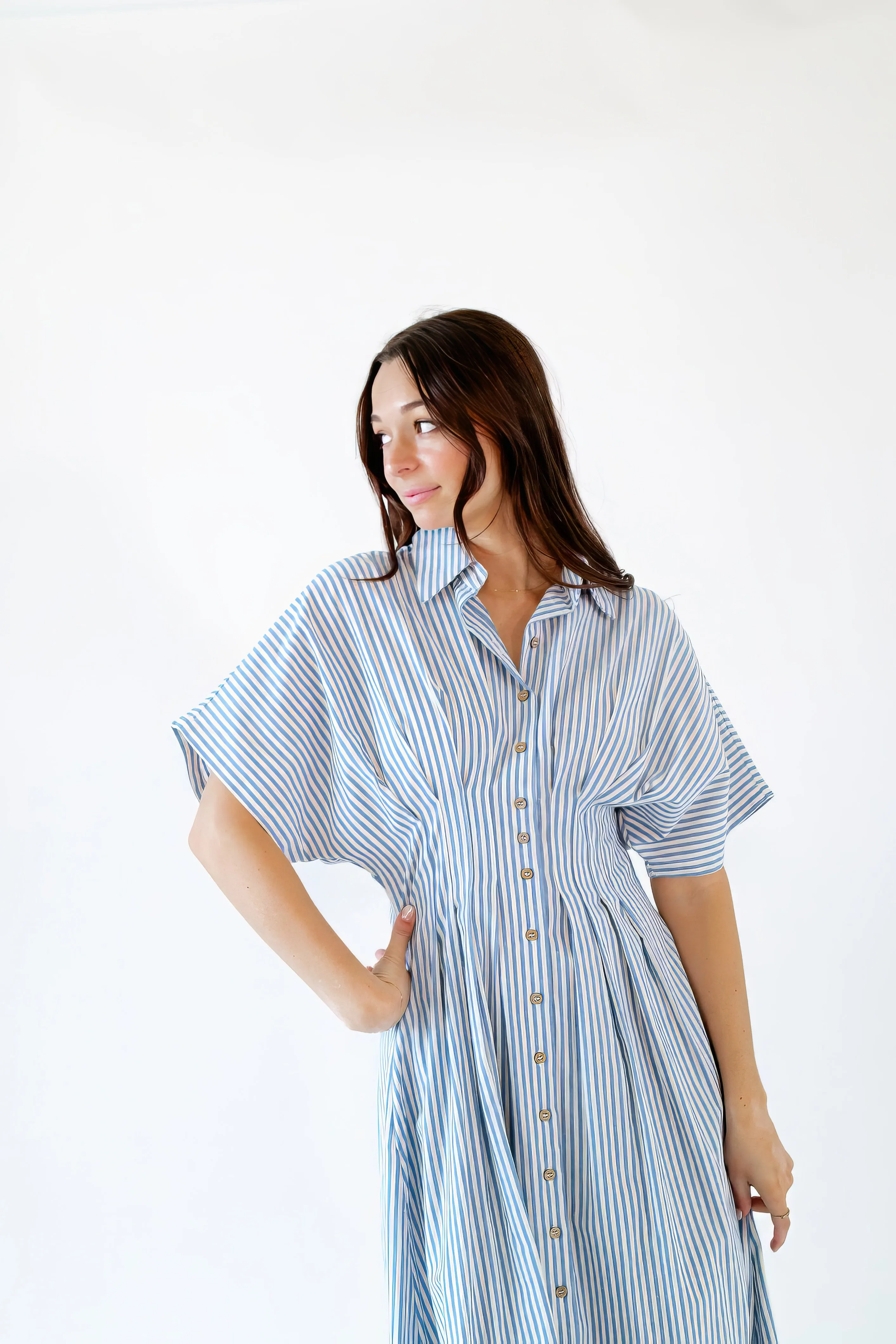 Rhea Pinstriped Pleated Shirt Dress