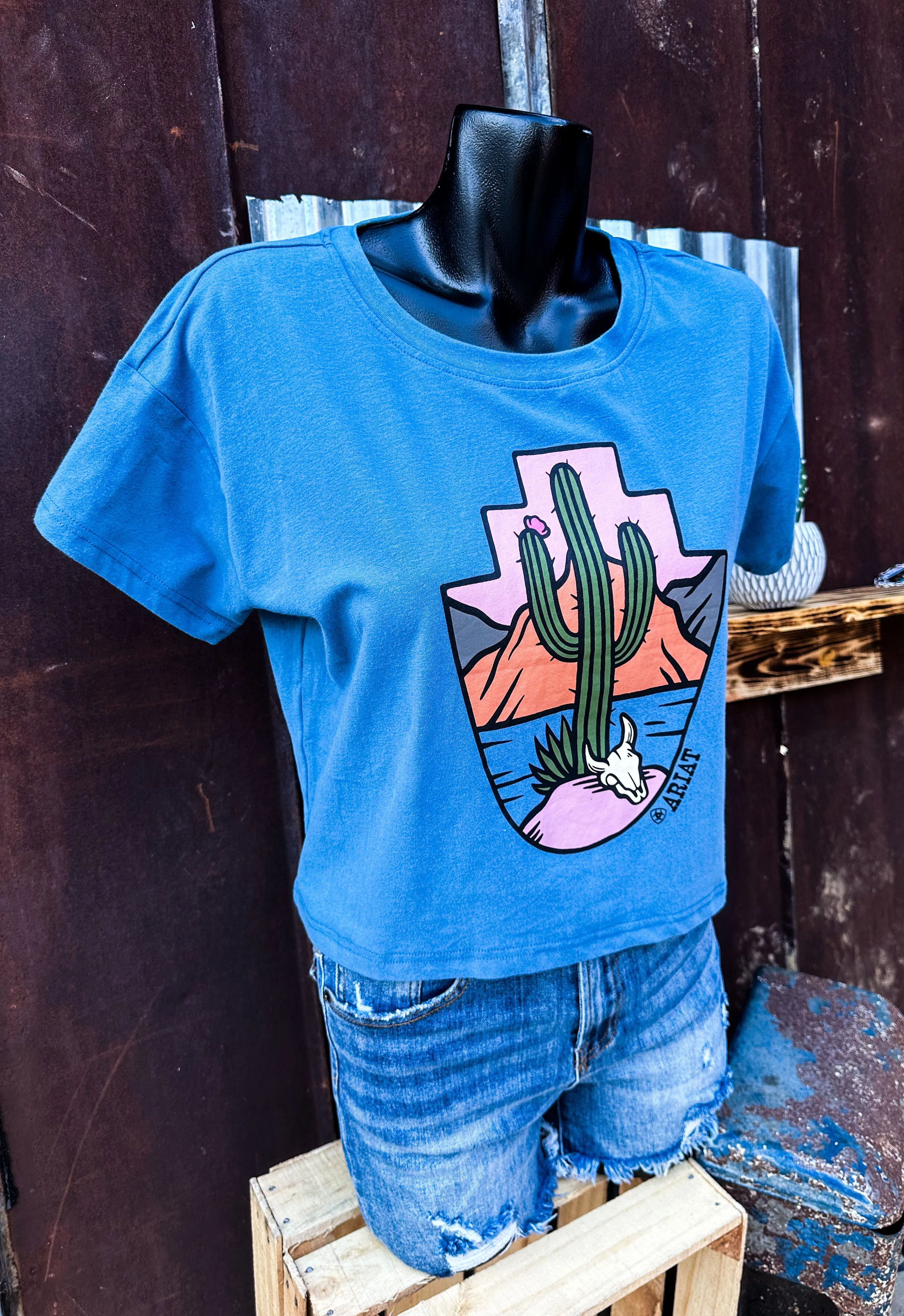 Treasure Ariat Graphic